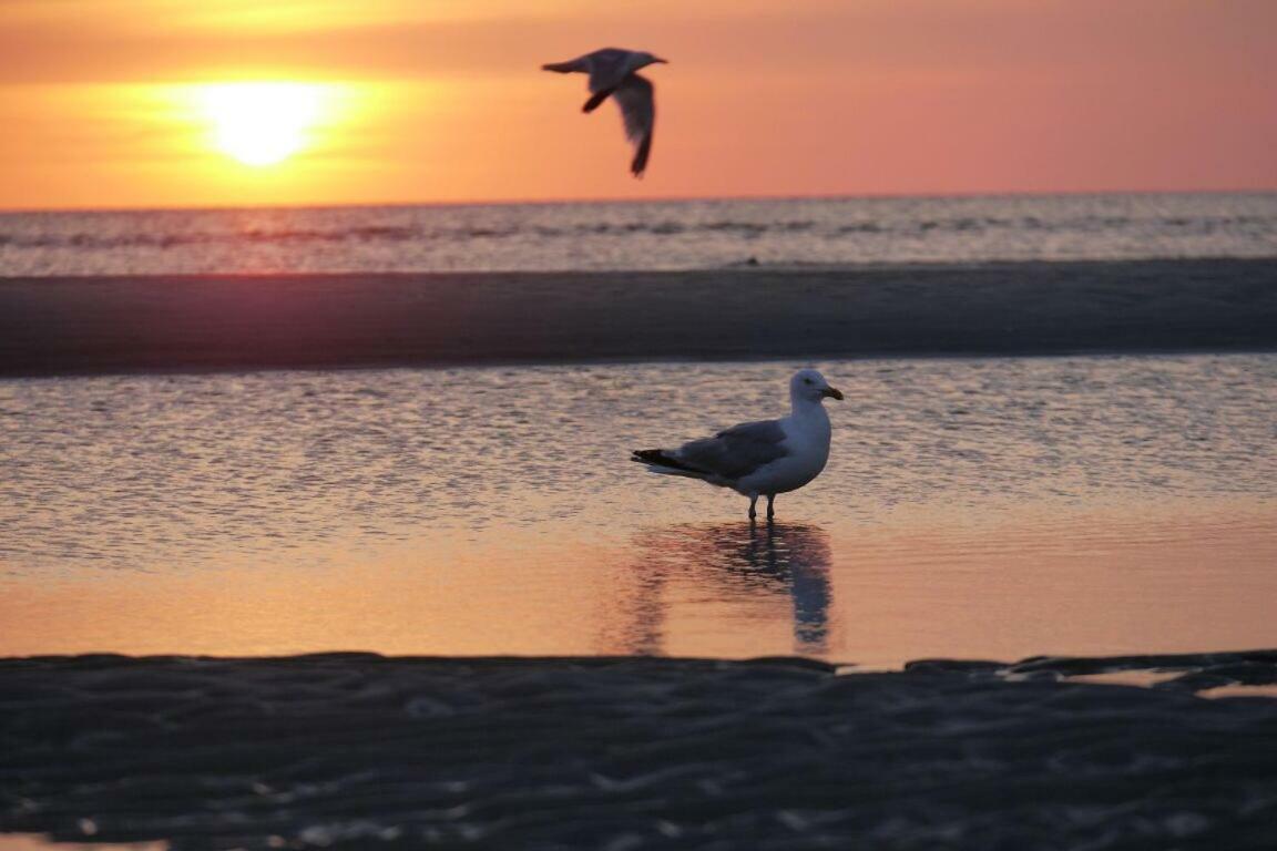 Fewo Buesum - Bella Mare - Nordseestrasse 3 Екстериор снимка